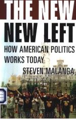 THE NEW NEW LEFT   HOW AMERICAN POLITICS WORKS TODAY     PDF电子版封面  1566636442   