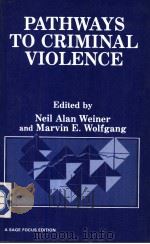 PATHWAYS TO CRIMINAL VIOLENCE     PDF电子版封面  0803933436  NEIL ALAN WEINER MARVIN E. WOL 