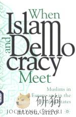 WHEN ISLAM AND DEMOCRACY MEET:MUSLIMS IN EUROPE AND IN THE UNITED STATES     PDF电子版封面  0312294018   