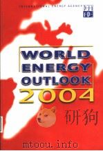 WORLD ENERGY OUTLOOK 2004（ PDF版）
