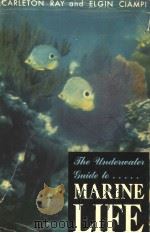 THE UNDERWATER GUIDE TO MARINE LIFE     PDF电子版封面     