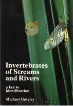 INVERTEBRATES OF STREAMS AND RIVERS  A KEY TO IDENTIFICATION（ PDF版）