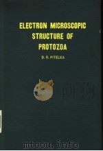 ELECTRON-MICROSCOPIC STRUCTURE OF PROTOZOA（ PDF版）