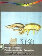 THE ANTS OF NEVADA     PDF电子版封面  093864422X  GEORGE C.WHEELER AND JEANETTE 