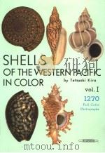 SHELLS OF THE WESTEN PACIFIC IN COLOR VOL.I     PDF电子版封面    TETSUAKI KIRA 
