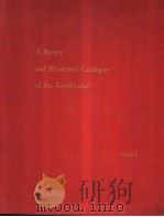 A SURVEY AND ILLUSTRATED CATALOGUE OF THE TEREDINIDAE     PDF电子版封面    RUTH D.TURNER 