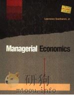 MANAGERIAL ECONOMICS     PDF电子版封面  0256033102   