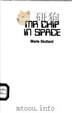 MR CHIP IN SPACE MARIE STUTTARD     PDF电子版封面    GREG WHITECLIFFE 