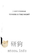 TENDER IS THE NIGHT     PDF电子版封面     