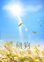 FIRST THINGS FIRST STUDENTS‘BOOK     PDF电子版封面    L.G.ALEXANDER 