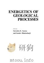 ENERGETICS OF GEOLOGICAL PROCESSES  HANS RAMBERG ON HIS 60TH BIRTHDAY     PDF电子版封面  0387081194  SURENDRA K.SAXENA  SOMDEV BHAT 