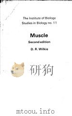 MUSCLE  SECOND EDITION     PDF电子版封面  0713121904  D.R.WILKIE 
