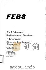 RNA VIRUSES：REPLICATION AND STRUCTURE RIBOSOMES：STRUCTURE，FUNCTION AND BIOGENESIS  VOLUME 27     PDF电子版封面  0720443008   