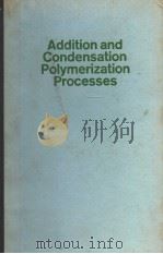 ADDITION AND CONDENSATION POLYMERIZATION PROCESSES（ PDF版）