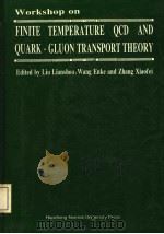 PROCEEDINGS OF THE WORKSHOP ON FINITE TEMPERATURE QCD AND QUARK-GLUON TRANSPORT THEORY（1996 PDF版）
