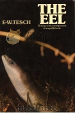 THE EEL BIOLOGY AND MANAGEMENT OF ANGUILLID EELS     PDF电子版封面    F.-W. TESCH，DR.AGR. P.H.GREENW 