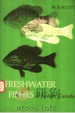 FRESHWATER FISHES OF EASTERN CANADA SECOND EDITION（ PDF版）