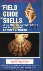 A FIELD GUIDE TO SHELLS OF THE ATLANTIC AND GULF COASTS AND THE WEST INDIES     PDF电子版封面  0395171709  PERCY A.MORRIS 