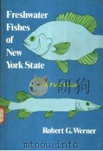 FRESHWATER FISHES OF NEW YORK STATE A FIELD GUIDE     PDF电子版封面  0815622228  ROBERT G.WERNER 