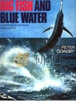 BIG FISH AND BLUE WATER：GAMEFISHING IN THE PACIFIC     PDF电子版封面  0207141320  PETER GOADBY 