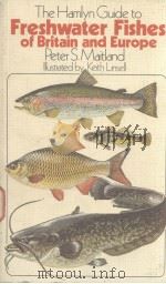 THE HAMLYN GUIDE TO FRESHWATER FISHES OF BRITAIN AND EUROPE     PDF电子版封面  0600339866  PETER S.MAITLAND B.SC PH.D 