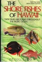 THE SHORE FISHES OF HAWAII：THESE FISHES ARE FOUND THROUGHOUT THE PACIFIC OCEAN     PDF电子版封面     