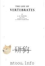 THE LIFE OF VERTEBRATES     PDF电子版封面    J.Z.YOUN 