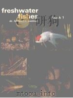 FRESHWATER FISHES  BOOK 1     PDF电子版封面    DR.HERBERT R.AXELROD 