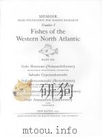 FISHES OF THE WESTERN NORTH ATLANTIC  PART 6     PDF电子版封面     