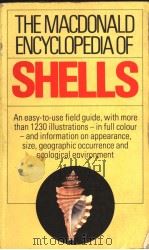 THE MACDONALD ENCYCLOPEDIA OF SHELLS     PDF电子版封面     