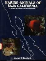 MARINE ANIMALS OF BAJA CALIFORNIA A GUIDE TO THE COMMON FISH AND INVERTEBRATES（ PDF版）