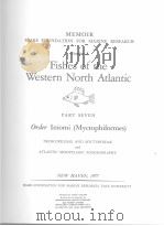 FISHES OF THE WESTERN NORTH ATLANTIC PART SEVEN（ PDF版）