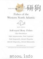 FISHES OF THE WESTERN NORTH ATLANTIC PART THREE（ PDF版）