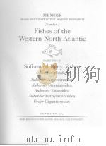 FISHES OF THE WESTERN NORTH ATLANTIC PART FOUR（ PDF版）