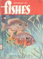 DICTIONARY OF FISHES  ELEVENTH EDITION（ PDF版）