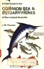 COMMON SEA & ESTUARY FISHES OF NON-TROPICAL AUSTRALIA     PDF电子版封面  0002192713  J.M.THOMSON 