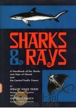 SHARKS & RAYS     PDF电子版封面    SPENCER WILKIE TINKER AND CHAR 
