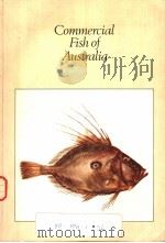 COMMERCIAL FISH OF AUSTRALIA     PDF电子版封面     