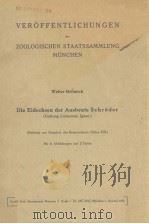 VEROFFENTLICHUNGEN DER ZOOLOGISCHEN STAATSSAMMLUNG MUNCHEN  DIE EIDECHSEN DER AUSBEUTE SCHRODER     PDF电子版封面     