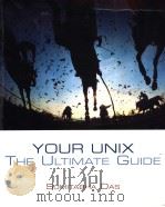 YOUR UNIX  THE ULTIMATE GUIDE     PDF电子版封面  0072405007  SUMITABHA DAS 