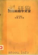图说组织学实习  日文（ PDF版）