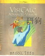 VISICALC ADVANCED VERSION WORKSHEETS FOR BUSINESS     PDF电子版封面  0912213000  VAN WOLVERTON 