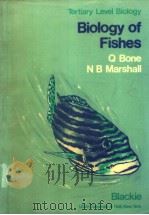 BIOLOGY OF FISHES     PDF电子版封面  0412001519   