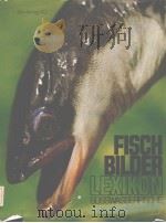 FISCH BILDER LEXIKON SUSSWASSERFISCHE     PDF电子版封面  3570058417   