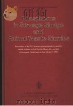 PHOSPHORUS IN SEWAGE SLUDGE AND ANIMAL WASTE SLURRIES     PDF电子版封面  9027703175  T.W.G.HUCKER  G.CATROUX 