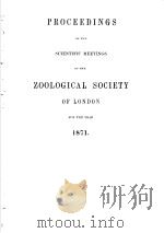 PROCEEDINGS OF THE ZOOLOGICAL SOCIETY OF LONDON  1871     PDF电子版封面     