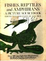 FISHES，REPTILES AND AMPHIBIANS A PICTURE SOURCEBOOK EDITED AND ARRANGED BY DON RICE     PDF电子版封面  0442211961   