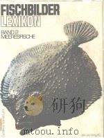 FISCH BILDER LEXIKON BAND 2 MEERESFISCHE     PDF电子版封面  3570058425   