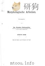 MORPHOLOGISCHE ARBEITEN  ACHTER BAND  1898     PDF电子版封面     