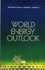 WORLD ENERGY OUTLOOK     PDF电子版封面  9264123601   